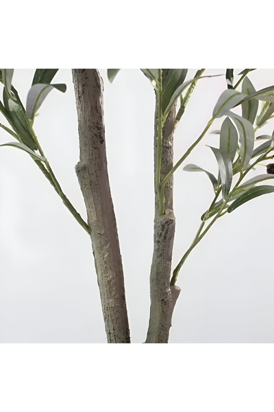 Essentials 360 Artificial Olive Tree 155cm - Fake Plant with Moss & Pot