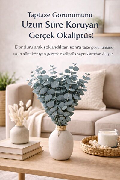 Bontia Doğal Yeşil Okaliptüs Demeti – Gerçek Okaliptüs, Şoklanmış Büyük Okali...