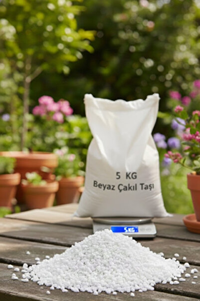 decoronay 5 kg White Pebble Stone – Vase Cobalt Garden Stone, Natural & Decor...