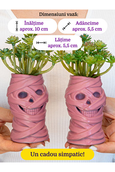 OEM 2 Hyacinth Vases + 2 Artificial Succulent Flowers