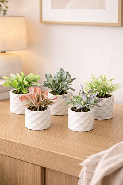 adresiburasi Powdered Greenery Table Flower in Concrete Pot Set of 5