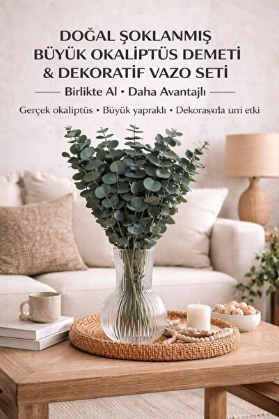 Bontia Gerçek ve Şoklanmış Okaliptüs Seti – 4 Ana Dal, Yan Dallı Büyük Demet ...