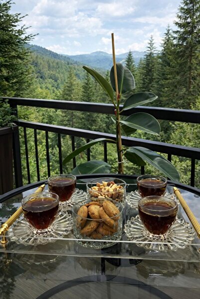 Markasız ucuz Pleksi Gold Kulplu Sunum Tepsisi