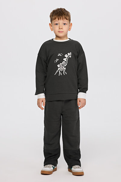 Panço Erkek Çocuk Dinozor Baskı Antrasit Sweatshirt