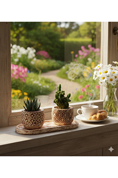 Home 3'lü Desenli Sukulent ve Kaktüs Saksı Seti
