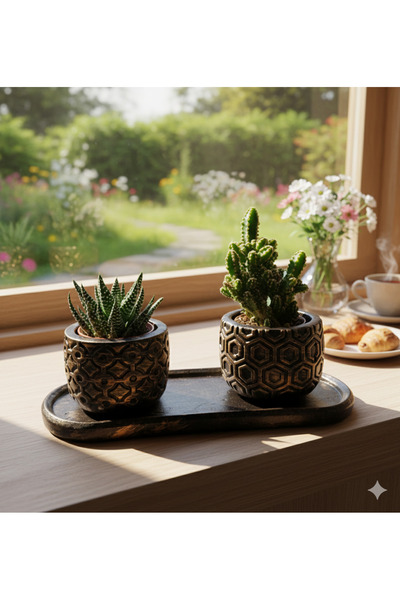 Home 3'lü Desenli Sukulent ve Kaktüs Saksı Seti