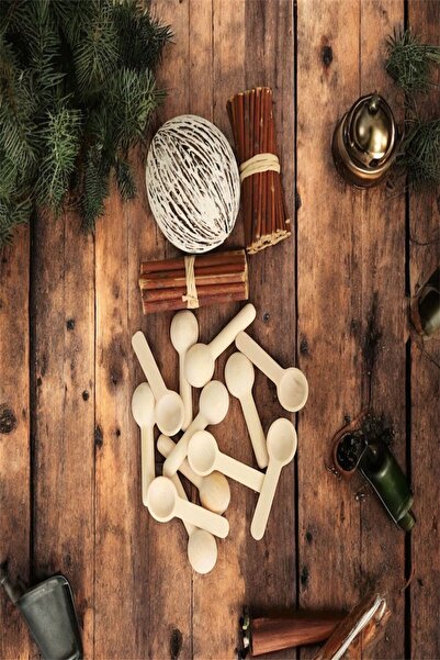 Minya Home 12 Pieces Natural Wooden Mini Spice Spoons Spoon Set Size 7 cm