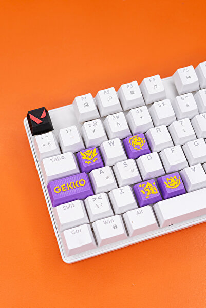 Makerpax Valorant Gekko Keycaps, Q-E-X-C Mekanik Klavye Tuşu