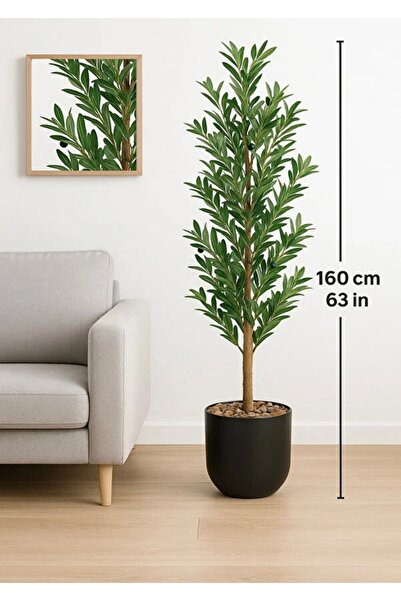 MG شجرة زيتون بطول 160 سم بالون الأسود