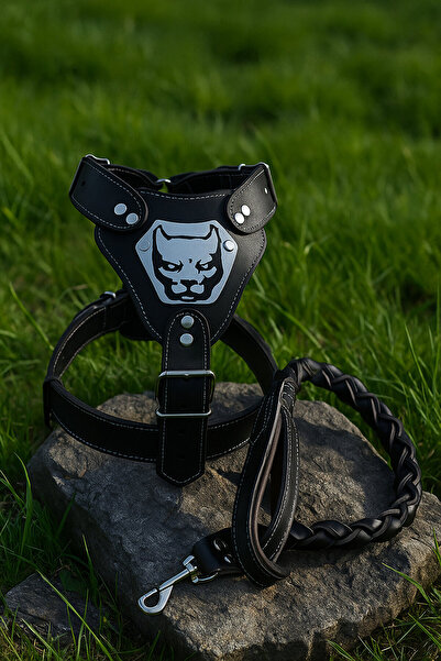 FR Pet Siyah Köpek Tasma Gladyatör Göğüs Tasma Büyük Boy+deri Örgü Gezdirme