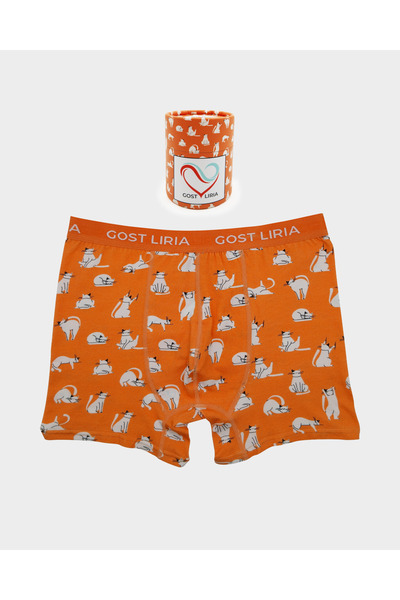 GOST LİRİA - Silver Cat Desenli Erkek Boxer