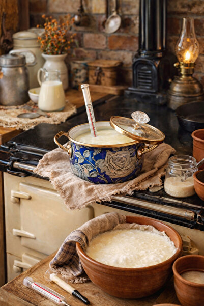 EBRULİEMAYE Navy Blue Rose Enamel Luxury 2 Liters 18 cm Diameter Small Size C...