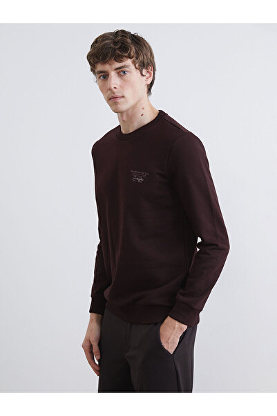 LC Waikiki Crew Neck Printed Men's Thick Sweatshirt