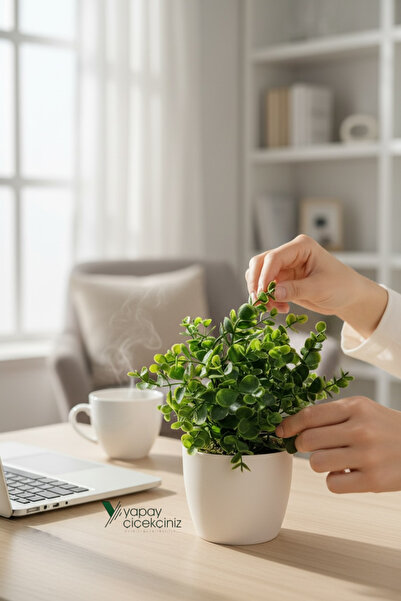 YAPAY ÇİÇEKÇİNİZ Beyaz Saksıda Yapay Baby Okaliptus