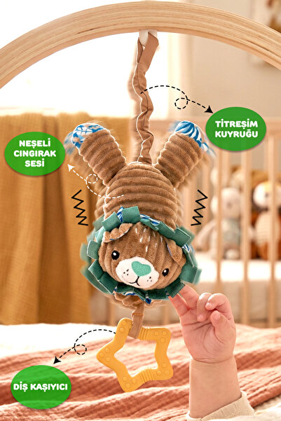 Prego Toys Titreşimli Oyuncaklar