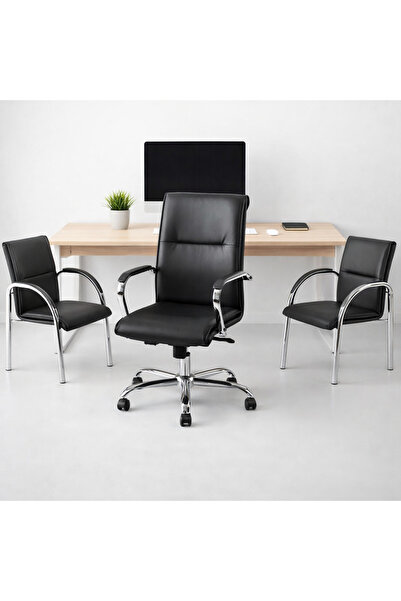Genel Markalar ofis oturma takımı müdür koltugu misafir bekleme