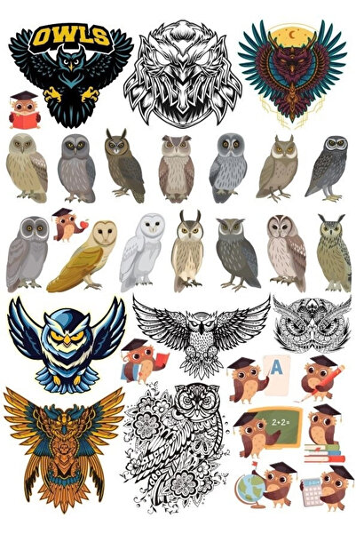 Reysa Tasarım مجموعة ملصقات البومة مكونة من 20 قطعة للهاتف والكمبيوتر اللوحي ...