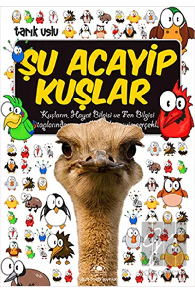Uğurböceği Yayınları سلسلة الأشياء الغريبة 10 من هذه الطيور الغريبة