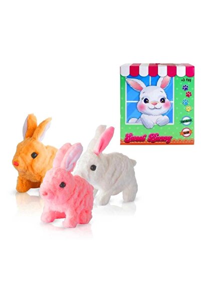 Luminoo SEVİMLİ PELÜŞ TAVŞAN YÜRÜYEN SESLİ IŞIKLI PİLLİ 15 CM - TEKLİ