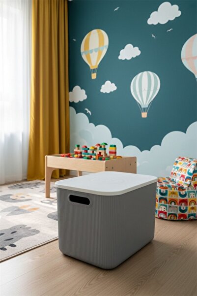 Bayev 21 Lt Storage Gray Cabinet Organizer, Toy and Laundry Basket Shoes Boot...