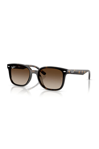 Ray-Ban Rb 4461D 710/13 64 Unisex Sunglasses