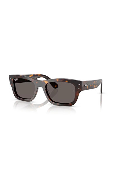 Ray-Ban 0RB7683S 902/B1 55 Unisex Güneş Gözlüğü