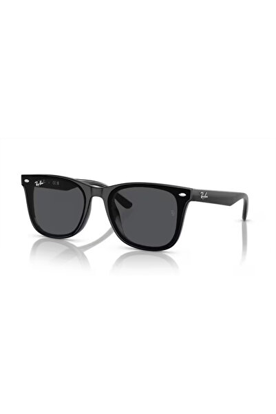 Ray-Ban RB4420 601/87 65 Unisex Güneş Gözlüğü