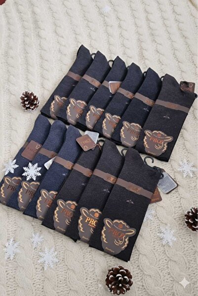 PRO İNCE YÜN (BAMBU-YÜN) ERKEK ÇORAP; DİKİŞSİZ; ASORTİ 12'Lİ PAKET (41-44)