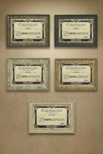 Asya Çerçeve Dekoratif Lüks Antik 5'li Set 21x30 (A4) İşlemeli Plastik Fotoğr...