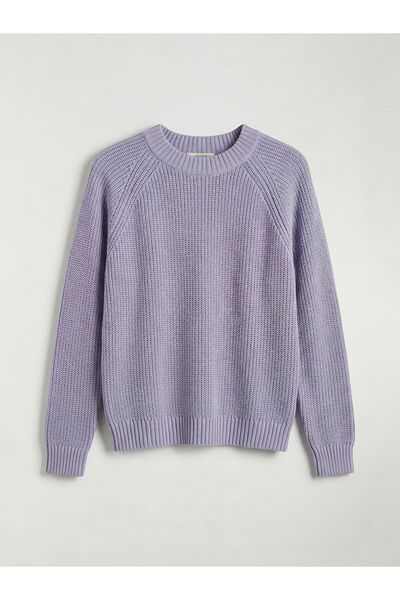 LC Waikiki طاقم الرقبة سترة تريكو المرأة