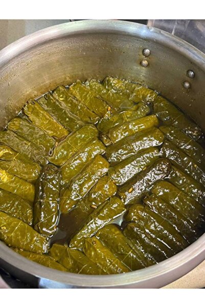 v23 ورق عنب داخل الاحساء