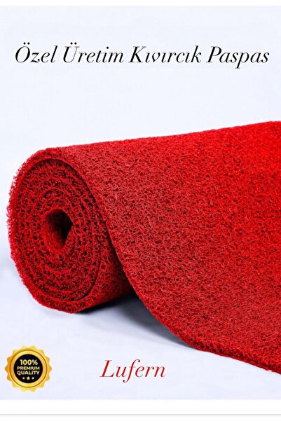 Lufern Curly Mat Anti-Slip Base Carpet Runner Door Front Mat Dust Dirt Outdoo...