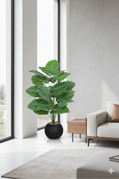 GOTA-X نبات زينة داخلي بأوراق عريضة خضراء في حوض أسود أنيق