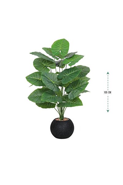 GOTA-X Indoor ornamental plant with broad green leaves in a stylish black pot...