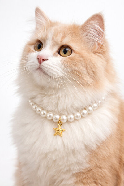 ALYA Altın Güneş İnci Kedi Tasması