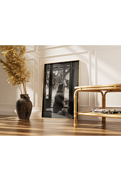 Pueno Vista Pencereden Dışarı Bakan Köpek Fotoğrafı - Siyah Beyaz Hayvan Duva...