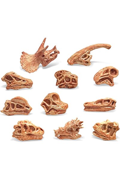 KASTWAVE عظام ديناصورات للأطفال، 11 قطعة من ألعاب الديناصورات الواقعية، مجموع...