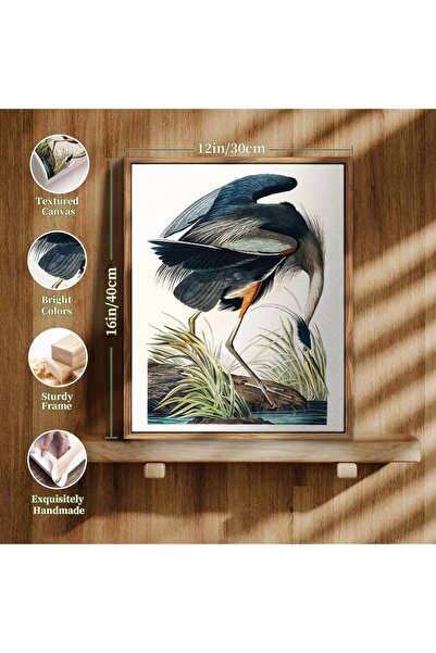 MHARTK66 Tablou Vintage 30x40 cm, Ramă Lemn, Ilustrație Stârc Albastru, Decor Elegant Living și Hol
