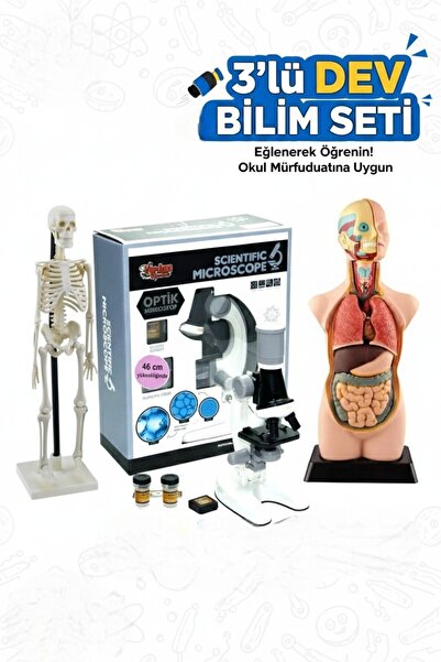 Laylay Toys Fen Seti 3'lü İskelet Modeli 46 cm - İnsan Vücudu 8 Parça 27 cm -...