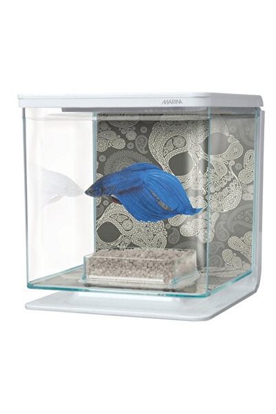 Fluval طقم حوض سمك بيتا مارينا سكال 2 لتر