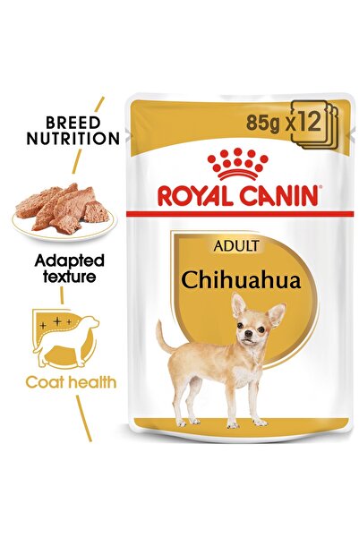 Royal Canin طعام صحي للكلاب البالغة من فصيلة تشيهواهوا (طعام رطب - أكياس) 12 ...