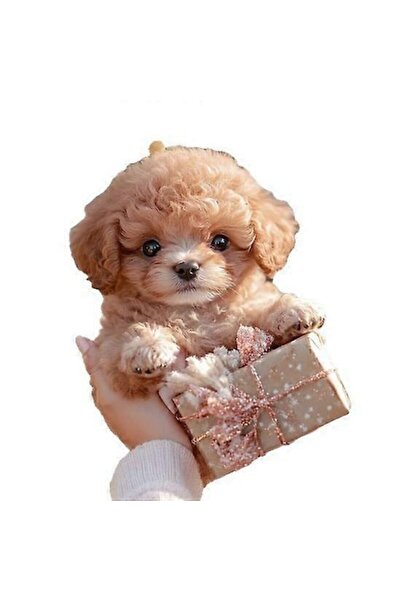 OEM Interactive Robot Puppy