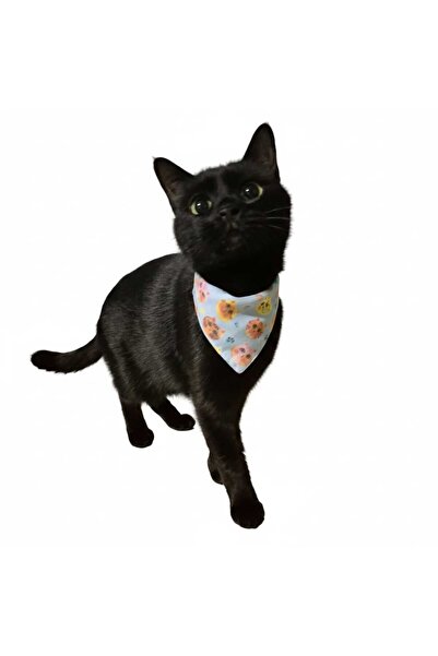 Fularlı Ayarlanabilir Kedi Tasma