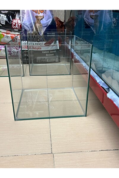 Akvaryum küp Akvaryum