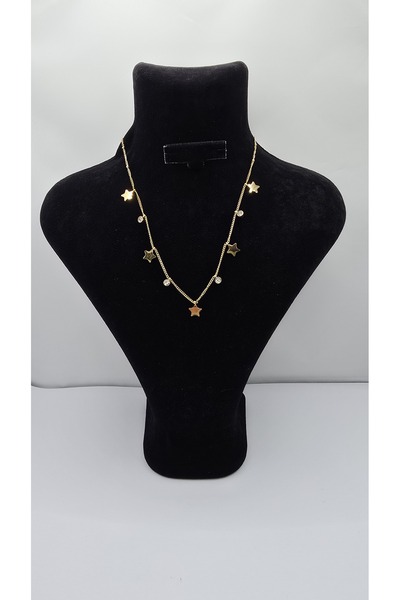 ahsenaksesuar2025 Stainless Steel Gold Color Star Charmlı Zircon Stone Necklace