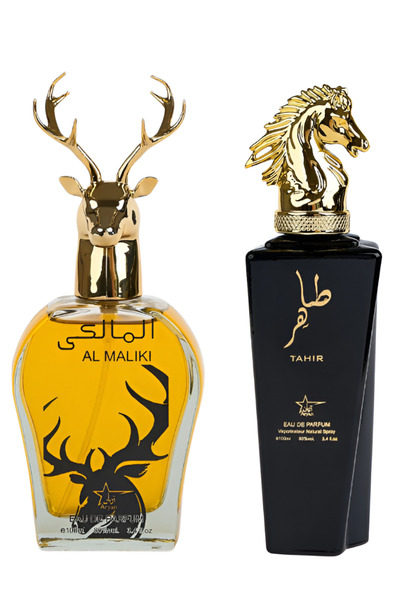 ARYAN Pack of 2 Oriental Perfumes 100 ml Men's
