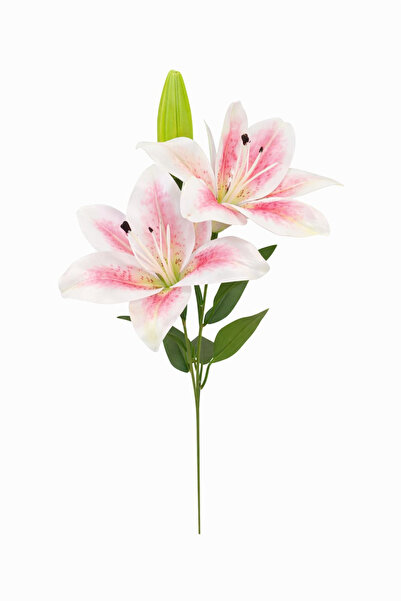 OEM Crin artificial alb cu accente roz elegante, 2 flori și detalii decorativ...