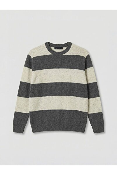 LC Waikiki Lcw Vision Crew Neck Striped Men's Knitwear Sweater