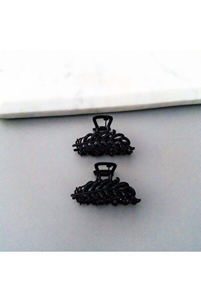 MOONGLOW ACCESSORIES Set of two hair clips