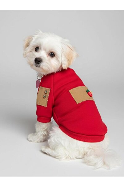 Kemique Sevimli Çilek Detaylı Kırmızı Köpekler için Polar Sweatshirt